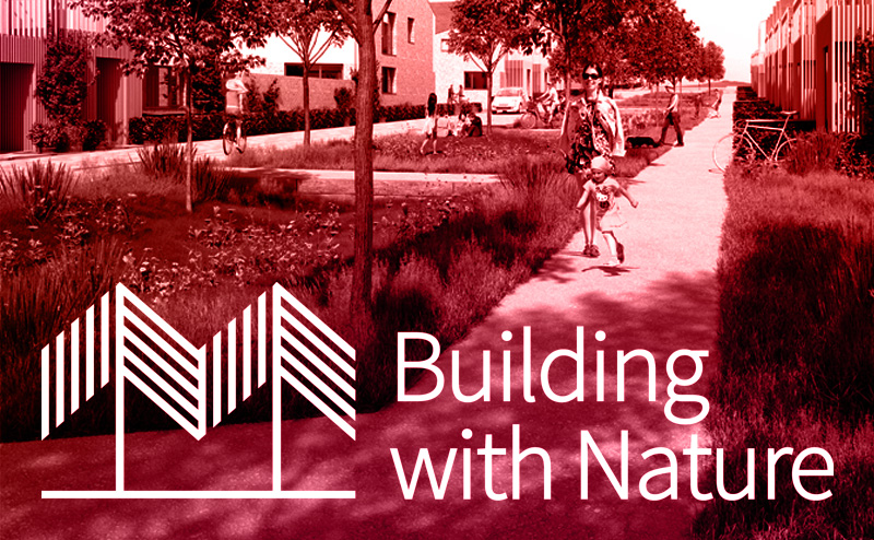 graphic image to link to the Building with Nature page of www.poland.co.uk