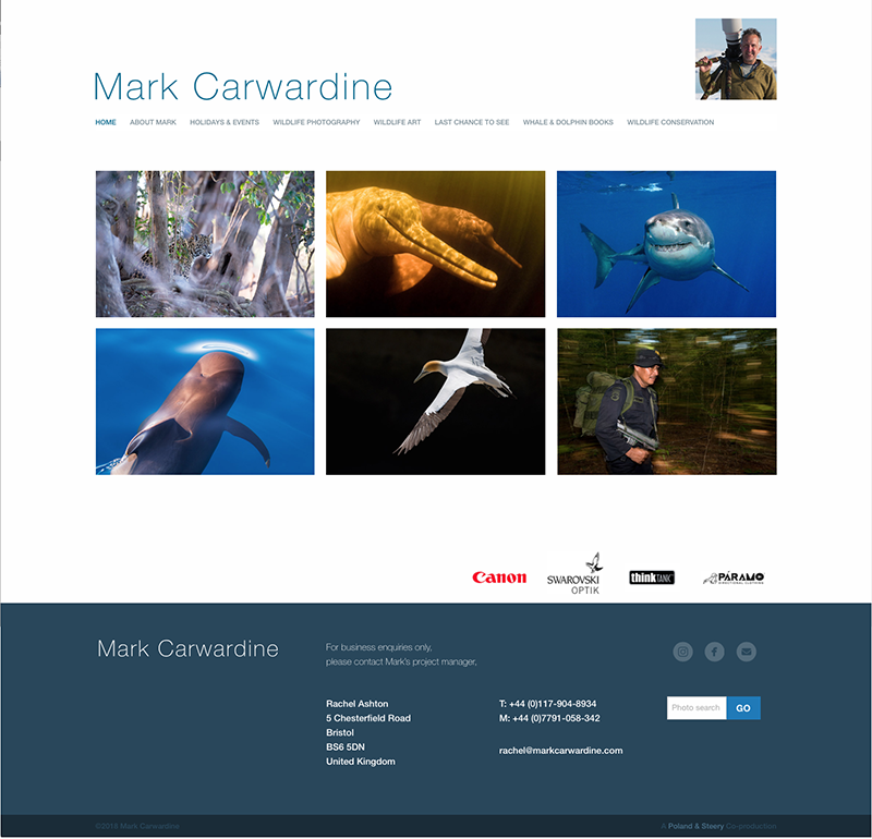 image of the Mark Carwardine website homepage