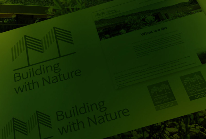 background image of Building with Nature brand application
