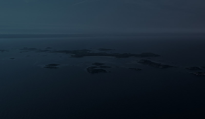 background image of island in the sea from the Mark Carwardine website